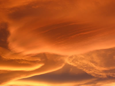 <a
  href="/earth/Atmosphere/clouds/lenticular.html&edu=elem&dev=">Lenticular
  clouds</a> form on the downwind side of mountains. <a
  href="/earth/Atmosphere/wind.html&edu=elem&dev=">Wind</a>
  blows most types of clouds across the sky, but lenticular clouds seem to stay
  in one place. Air moves up and over a mountain, and at the point where the
  air goes past the mountaintop the lenticular cloud forms, and then the air <a
  href="/earth/Water/evaporation.html&edu=elem&dev=">evaporates</a>
  on the side farther away from the mountains. This close up of lenticular
  clouds was taken at sunset on November 20, 2006 in Boulder, Colorado.<p><small><em>       Courtesy of Roberta Johnson</em></small></p>