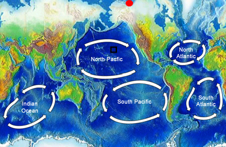 <a href="/earth/Water/ocean_gyres.html&edu=high">Ocean gyres</a> are large swirling bodies of water that are often on the scale of a whole <a href="/earth/Water/ocean.html&edu=high">ocean</a> basin. Ocean gyres dominate the open ocean and represent the long-term average pattern of ocean <a href="/earth/Water/ocean_currents.html&edu=high">surface currents</a>. This image shows the five major ocean gyres. Gyres rotate in a clockwise direction in the Northern hemisphere and a counter-clockwise direction in the Southern hemisphere because of the <a href="/physical_science/physics/mechanics/Coriolis.html&edu=high">Coriolis Effect</a>.<p><small><em> Windows Original (Original map is from <a href="http://commons.wikimedia.org/wiki/Main_Page">Wikipedia Commons</a>)</em></small></p>