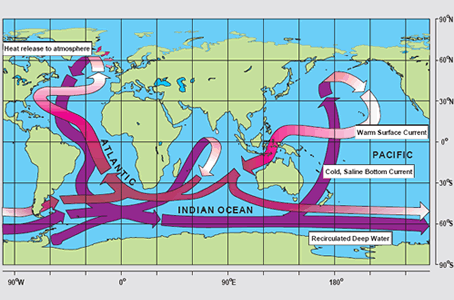 The <a
  href="/earth/Water/circulation1.html&edu=high&dev=">thermohaline
  circulation</a>, often referred to as the ocean's "conveyor belt",
  links major surface and deep water currents in the Atlantic, Indian, Pacific,
  and Southern Oceans. This pattern is driven by changes in water <a
  href="/earth/Water/temp.html&edu=high&dev=">temperature</a>
  and <a
  href="/earth/Water/salinity.html&edu=high&dev=">salinity</a>
  that change the <a
  href="/earth/Water/density.html&edu=high&dev=">density</a>
  of seawater.<p><small><em> Image courtesy <a href="http://www.clivar.org/publications/other_pubs/clivar_transp/d3_transp.htm">CLIVAR</a> (after W. Broecker, modified by E. Maier-Reimer).</em></small></p>