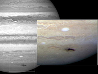 Anthony Wesley is an amateur astronomer in Australia. On the night of July
19, 2009, Wesley noticed a dark spot on
<a href="/jupiter/jupiter.html&edu=high">Jupiter</a> that
hadn't been there before. He had discovered the remains of a huge
impact on Jupiter! Find out more
<a href="/jupiter/jupiter_impact_july_2009.html&edu=high">here</a>.<p><small><em> Images courtesy of NASA, ESA, and H. Hammel (Space Science Institute, Boulder, Colo.), and the Jupiter Impact Team.</em></small></p>