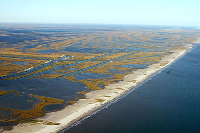 Scientists are currently tracking the effects of the <a href="/teacher_resources/main/teach_oil_spill.html">recent Gulf of Mexico
oil spill</a> on
the wetlands of the Louisiana coast. Robert Twilley and Guerry Holm of
Louisiana State University (LSU) want to know more about the role the
Mississippi River will play in keeping it from contaminating the coast and
wetlands in this part of the Gulf of Mexico.  Find out more about their
research <a href="/headline_universe/olpa/OilSpill_17June10.html">here</a>.<p><small><em>Image courtesy of USGS</em></small></p>